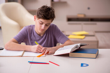 Schoolboy preparing for exams at home