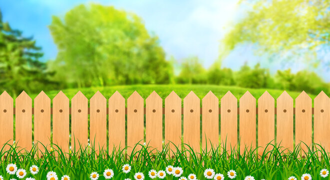Green field landscape from backyard with daisy flowers and wooden picket fence, illustration