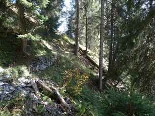 Trail in Switzerland 