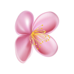 sakura flower cherry pink floral garden, romantic art. valentine plant. 3d realistic vector illustration