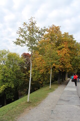 Trail in Switzerland 