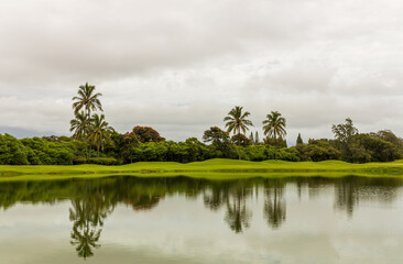 Scenic view of a pond with reflections in Nawiliwili town on Kauai Island, Hawaii