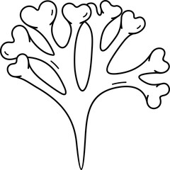 Red algae carrageenan