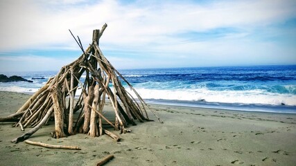 Drift Wood Tree Bright