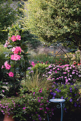  Japanese willow tree shades vintage terracotta garden pottery containing pink impatience, pink mandevilla, Mexican feather g
