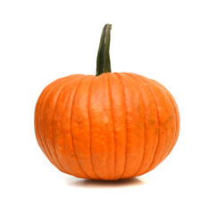 Big orange Pumpkin. on a white background. 