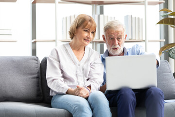 Fototapeta na wymiar senior couple using laptop computer on sofa
