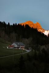 Schweizer Natur