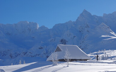 Zimowa Dolina Gąsienicowa w Tatrach  - obrazy, fototapety, plakaty