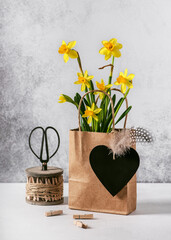 Easy homemade gift with blooming yellow daffodils flowers in a craft brown paper bags as a...