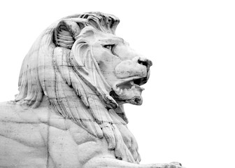 Marble sculpture of lion head isolated in white