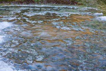 Beautiful view of grass peeking out from under ice. Winter landscape background. 