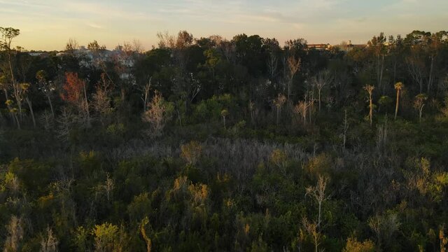 Beautiful sunset in Celebration, a town located in Osceola County near Orlando, FL