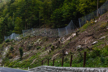 Road turning in the mountains, Alps background