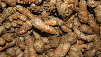 ginger root