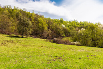 mountainous countryside in spring. rural outskirts on a sunny day. trees on the hills an grass on the meadow