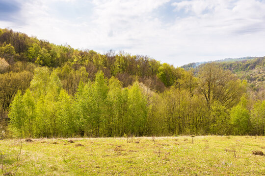 mountainous countryside in spring. rural outskirts on a sunny day. trees on the hills an grass on the meadow