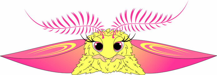 pink and yellow maple moth