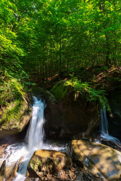 waterfall among the rocks in the forest. beautiful nature scenery in summer on a sunny day