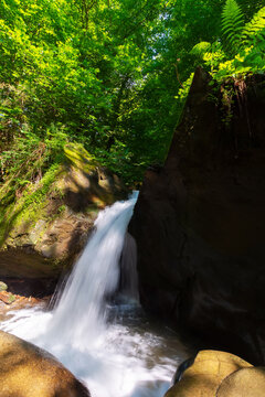 waterfall among the rocks in the forest. beautiful nature scenery in summer on a sunny day