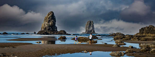 Canon Beach, Oregon - 9-4-2021: A man and his daughter and their dog exploring tide pools at low tide on the beach at Canon Beach, in front of the needles (sea stacks), on the north Oregon coast - obrazy, fototapety, plakaty