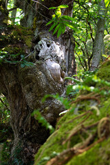 Parada de Sil in Galicia in Galicia, Spain