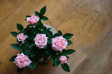 Pale pink roses on a rough parquet board background