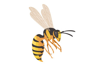 Dangerous wasp insect cartoon animal design vector illustration on white background - obrazy, fototapety, plakaty
