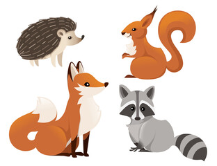 Set of cute woodland animals fox squirrel raccoon hedgehog isolated on white background