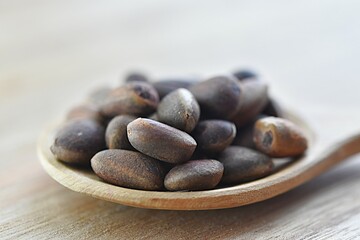 unpeeled pine nut kernels on a wooden spoon on a wooden table. copy space