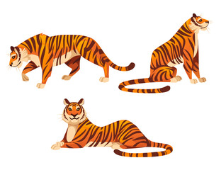 Set of adult big red tiger wildlife and fauna theme cartoon animal design flat vector illustration isolated on white background