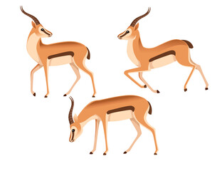 Set of African wild black-tailed gazelle with long horns head looks back cartoon animal design flat vector illustration on white background side view antelope