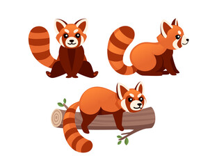 Set of cute adorable red panda lies on wooden log cartoon design animal character flat vector style illustration on white background