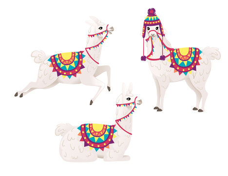 Set of cute llama wearing decorative saddle and hat with patterns cartoon animal design flat vector illustration isolated on white background side view