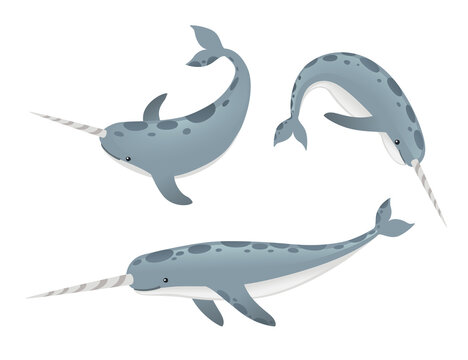 gray narwhals set, swimming, white background clip art preview