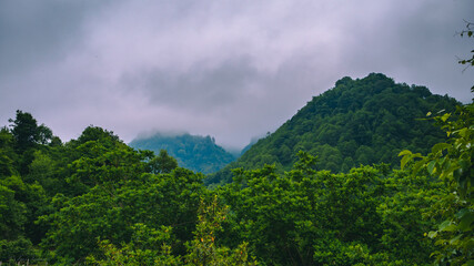 clouds in the mountains