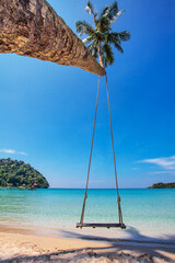 Wooden swing hanging from a palm tree on the beach
