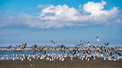 Hilton Head Island, SC