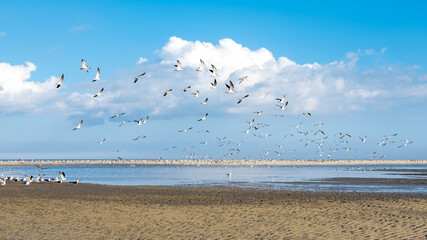 Hilton Head Island, SC
