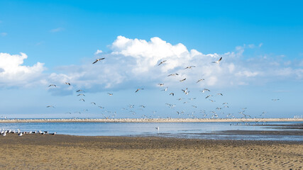 Hilton Head Island, SC