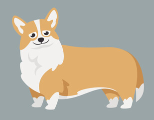 Standing Welsh Corgi. Cute pet in cartoon style