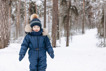 Fototapeta na wymiar Child walking in snowy spruce forest. Little kid boy having fun outdoors in winter nature. Christmas holiday. Cute happy toddler boy in blue overalls and knitted scarf and cap playing in park.