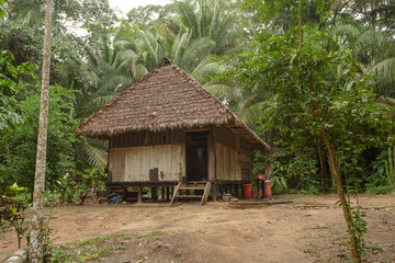 Fototapeta na wymiar Traditional house of the Amazon jungle, in Madre de Dios, Peru