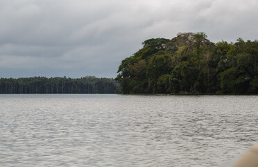 Landscape of the Amazon jungle, in Lago Sandoval, Tambopata, Peru