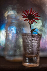 artistic picture with Shallow depth of field -flower in a glass vase and light bokeh