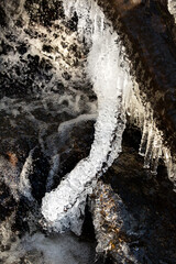 Icicles hanging from a log at Day Pond Falls, Connecticut.