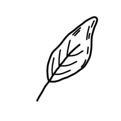 Leaves on a branch black and white line. Leaves in doodle style vector on an isolated background.