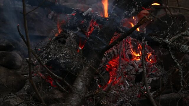 A close-up clip of a campfire.