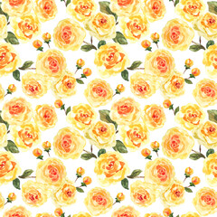 Yellow Roses blossom watercolor floral seamless background on white.