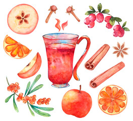 Mulled wine set with spice, orange, apple, berries isolated on white watercolor illustration.